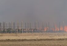 За втори път през последните дни – пожар се разрази край с. Боянци