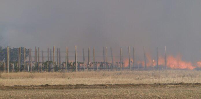 пожар Боянци 4