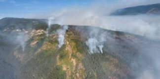 Община Чепеларе има необходимост от още доброволци, които да помагат в гасенето на пожара в гората