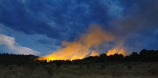 Военнослужещи от асеновградското поделение се включиха в гасенето на пожари