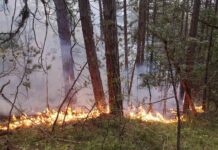 Пожарът в гората между селата Добростан и Югово е овладян, но потушаването му продължава