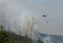 Пожар обхвана вилна зона и борова гора над Долни Воден