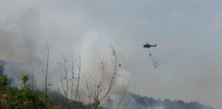 Пожар обхвана вилна зона и борова гора над Долни Воден