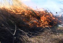 Пожарникари от Асеновград гасят голям пожар между селата Тополово и Новаково