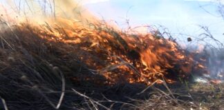 Пожарникари от Асеновград гасят голям пожар между селата Тополово и Новаково