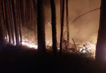 Служители от държавните горски стопанства продължават да гасят пожари