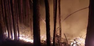 Служители от държавните горски стопанства продължават да гасят пожари