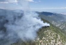 Пожар възникна в гората край село Югово