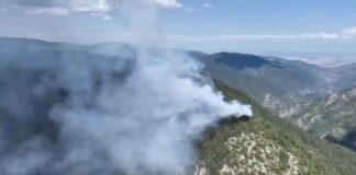 Пожар възникна в гората край село Югово