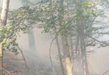 Пожарът в района на село Югово бушува на височина 1430 метра