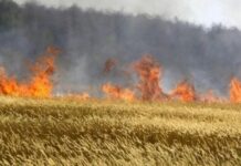 Компенсират земеделските стопани при щети от пожари