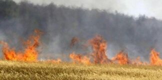 Препоръки за недопускане на пожари по време на жътвената кампания