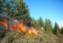 Мерки на областно ниво за превенция и реакция при пожари