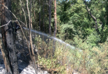 Пожарът в района на „40-те извора“ край Асеновград отново се възпламени