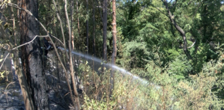 Пожарът в района на „40-те извора“ край Асеновград отново се възпламени