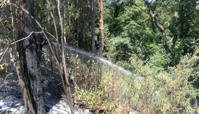 Пожарникар