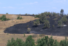 РДПБЗН Пловдив с предупреждение