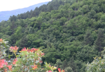 МОСВ кани студенти да се вкючат в конкурс на тема „Пестене на енергия“