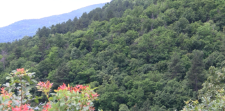 Стартира кампания „Чиста околна среда“ за 2024 г.