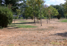 Отпускат 610 млн. лв. по програма „Околна среда“