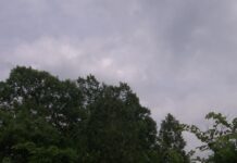 Предупреждения за обилни валежи в почти цялата страна утре