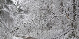 Проходите Петрохан и Троян – Кърнаре са затворени