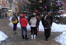 10-на души на протест срещу бездомните кучета в Асеновград