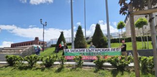 Протест срещу въвеждането на еврото се проведе и в Асеновград