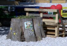 Национална кампания „Чиста околна среда – 2025 г.“