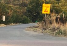 В ремонт ли е пътят Асеновград-Първомай