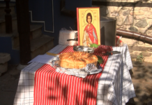 Зарязаха лозата в Етнографската къща