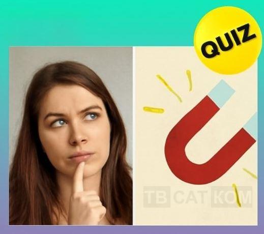 quiz