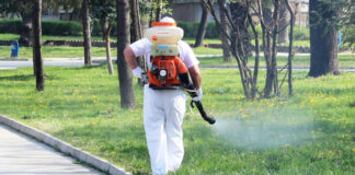 В Пловдив продължава пръскането срещу комари и кърлежи