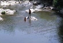 Опасни горещини – асеновградчани търсят прохлада на реката