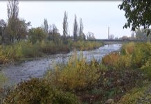 Намериха тяло в коритото на река Чая