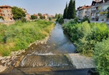 Защо коритото на р. Чая не се почиства от растителността