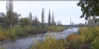 Намериха тяло в коритото на река Чая