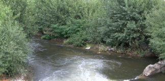 Нови, по-високи санкции за замърсяване на околната среда