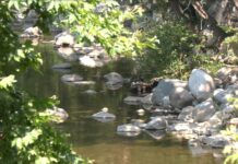 44-годишна жена падна в коритото на река Чая