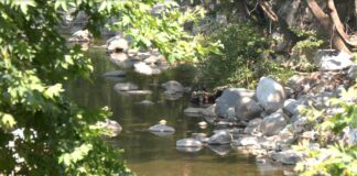 44-годишна жена падна в коритото на река Чая