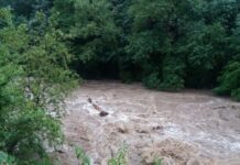 Няма опасност от наводнения в Асеновград и територията на общината