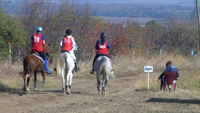 reportaji FHD.06_00_25_07.Still033