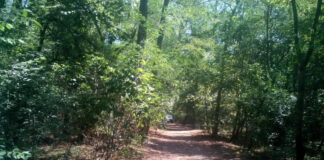 Открито е оръжието, с което се е самоубил Божилов