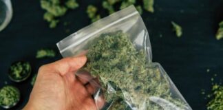 25-годишен асеновградчанин е заподозрян за разпространение на наркотици