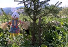 Изграждат общински градски парк „Гората на живота“ с частни средства, в памет на Георги