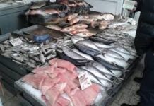 БАБХ извършва засилени проверки на обекти, в които се предлага риба и рибни продукти в цялата страна