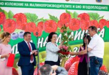 Отчитат устойчив ръст при реколтираните площи с малини и ягоди за последните три години