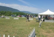 125 години ЛРД „Сокол” отбелязват тази събота на „40-те извора”