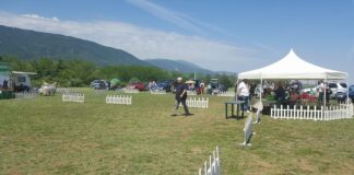 Празник на ЛРД „Сокол” в ловно-стрелкови комплекс „40-те извора”