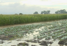 Гражданско неподчинение заради преливането на река Чая вчера край Садово